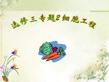 2.1.1　植物细胞工程的基本技术