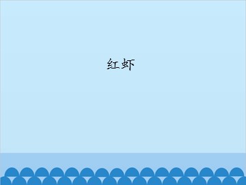 红虾_课件1