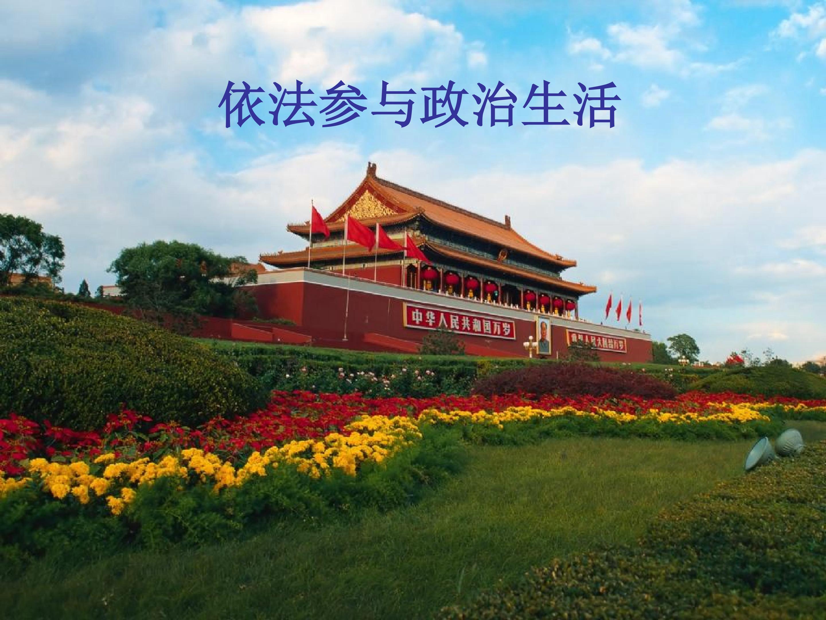 依法参与政治生活