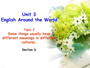 Topic 2. Some things usually have different meanings in different cultures._课件1