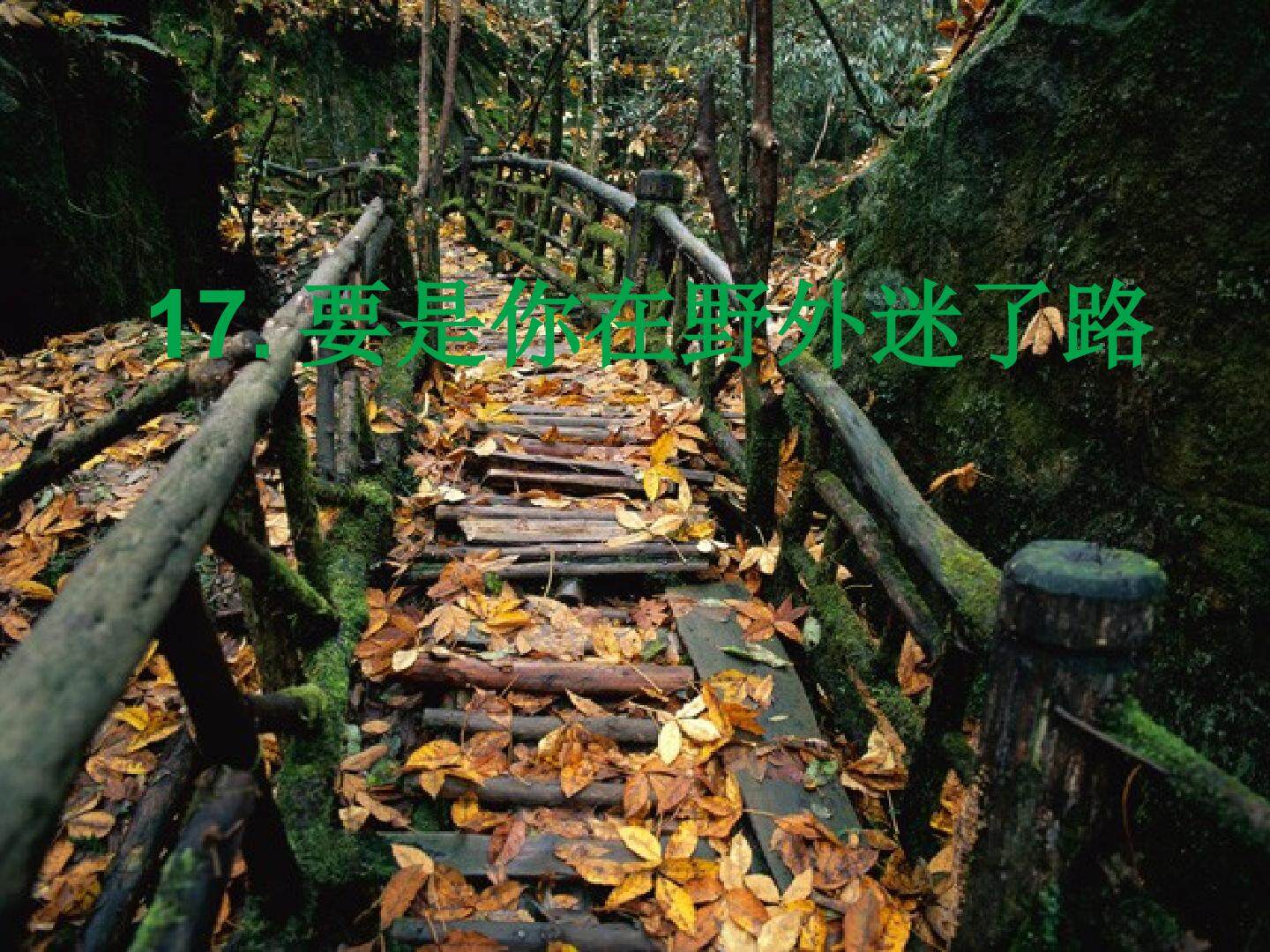 要是你在野外迷了路