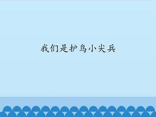 我们是护鸟小尖兵_课件1