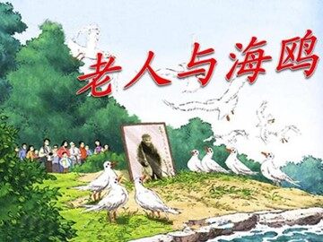 21 老人与海鸥 
