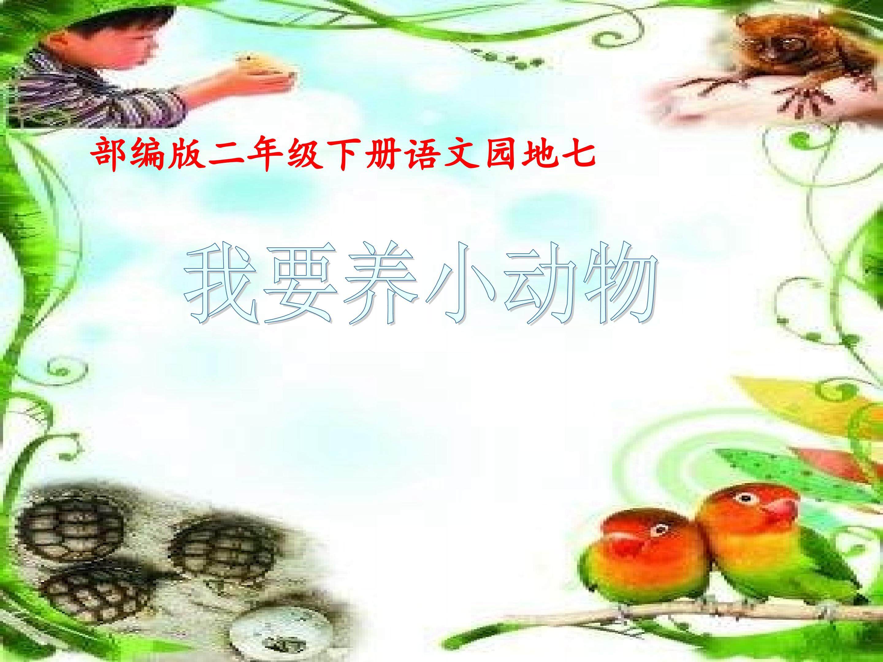 《我要养小动物》
