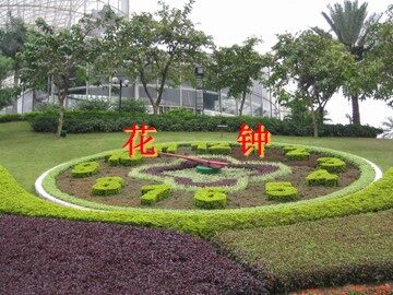 13 花钟