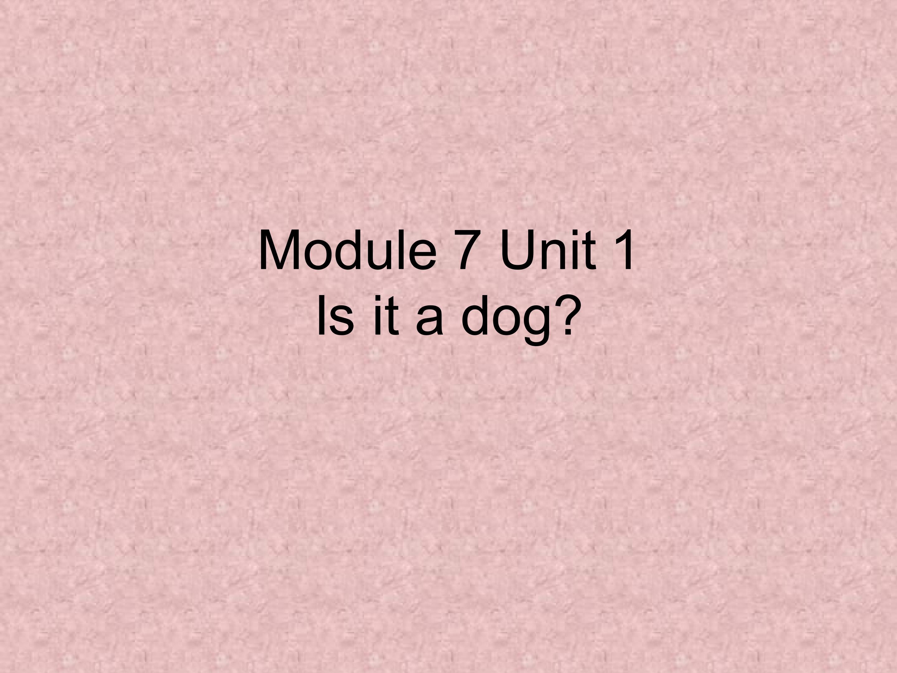 Module 7 Unit 1 Is it a dog?