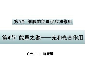 生物高中必修1第五章第四节第一课时课件3