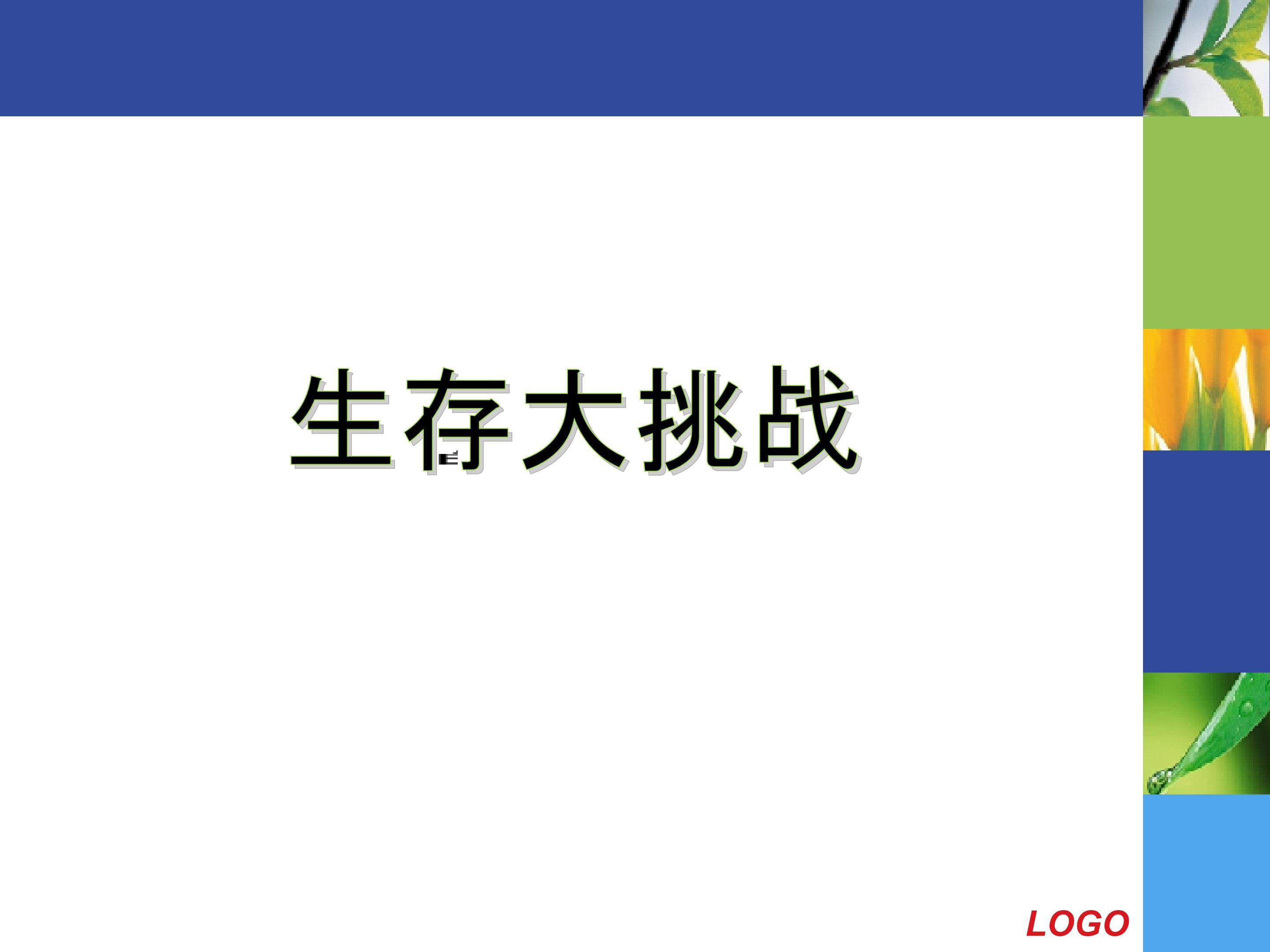 生态系统的能量流动