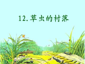 12  草虫的村落