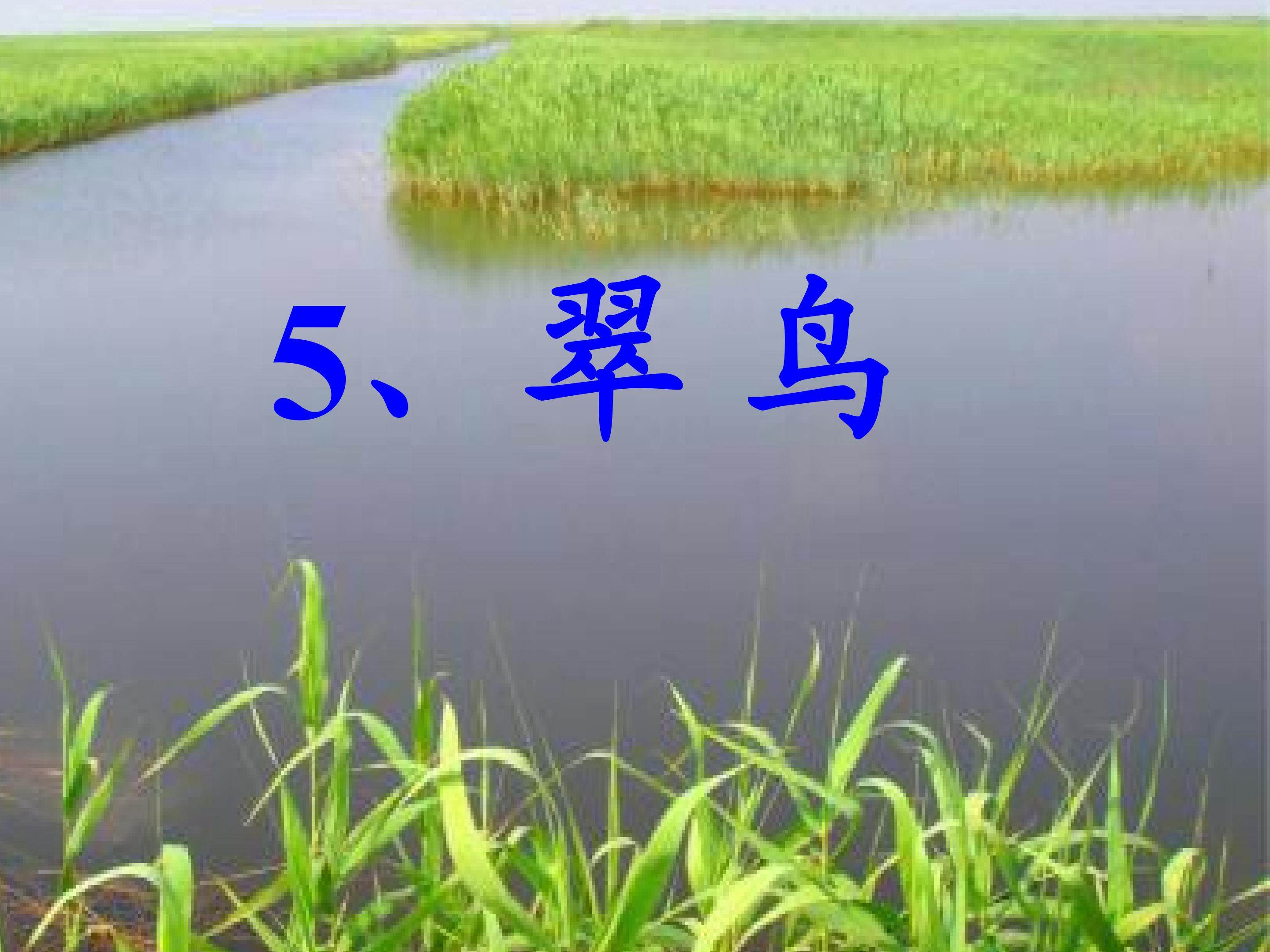 《翠鸟》