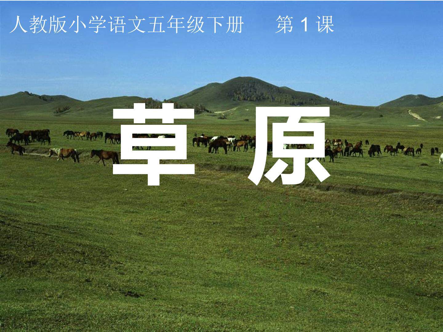 草原