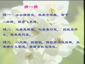 绿色蝈蝈_课件18