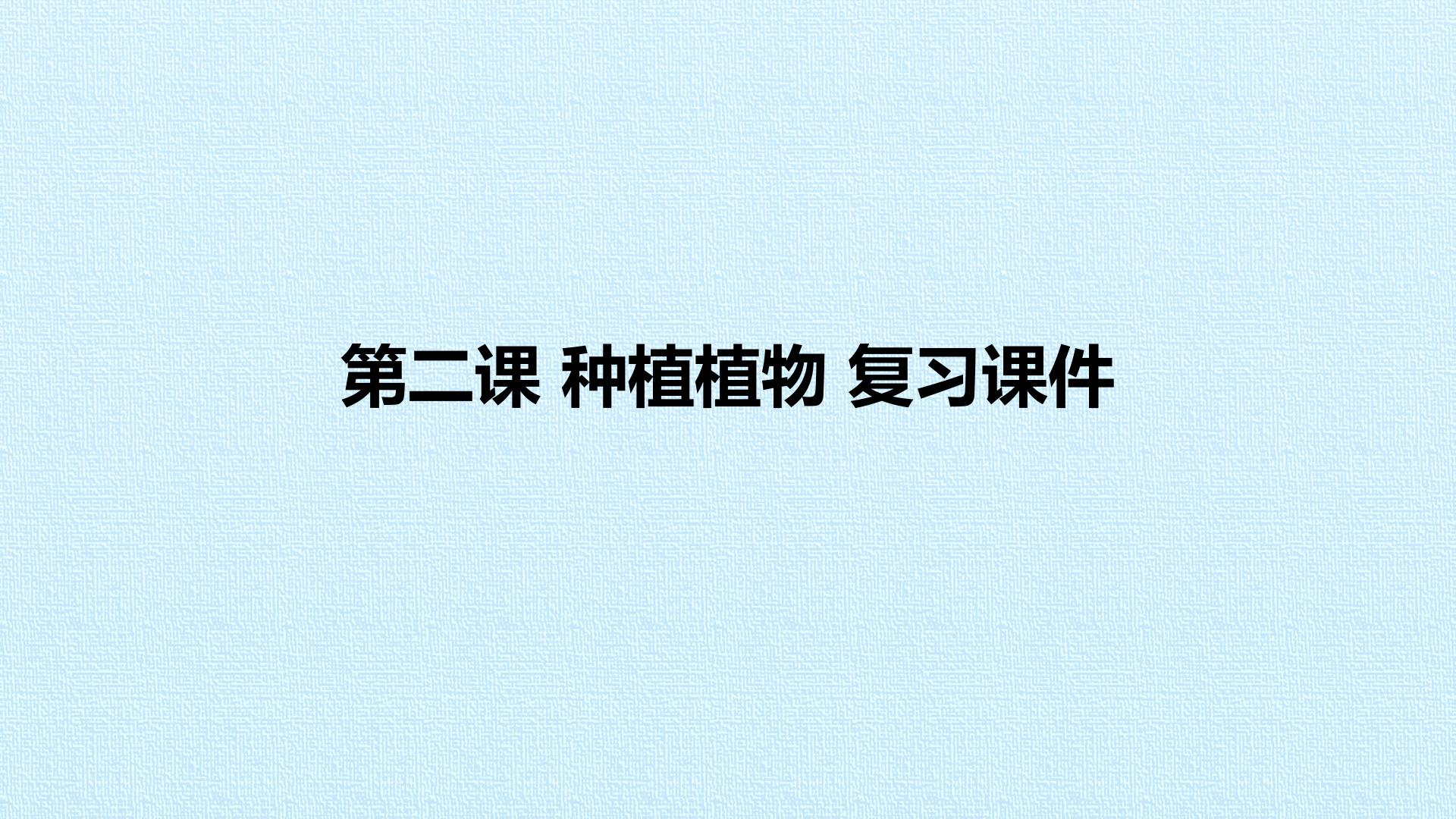 第二课 种植植物 复习课件