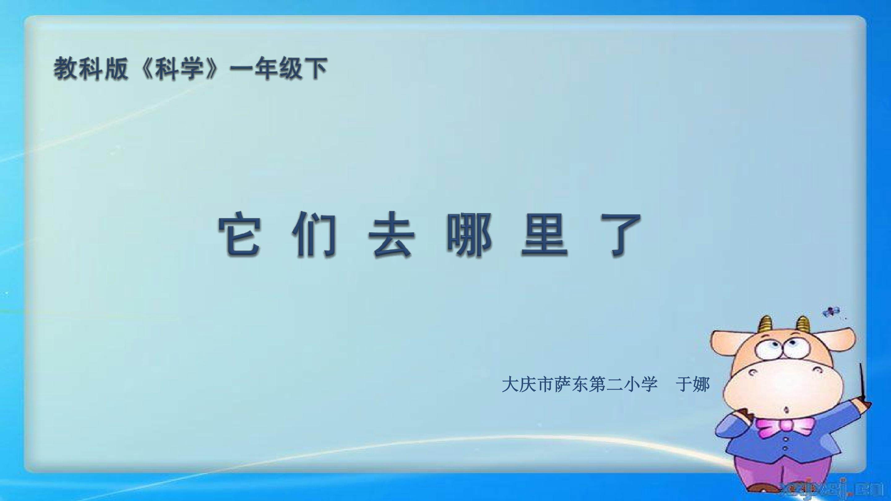 它们去哪里了