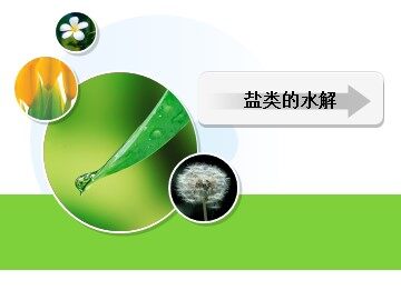 第三节 盐类的水解