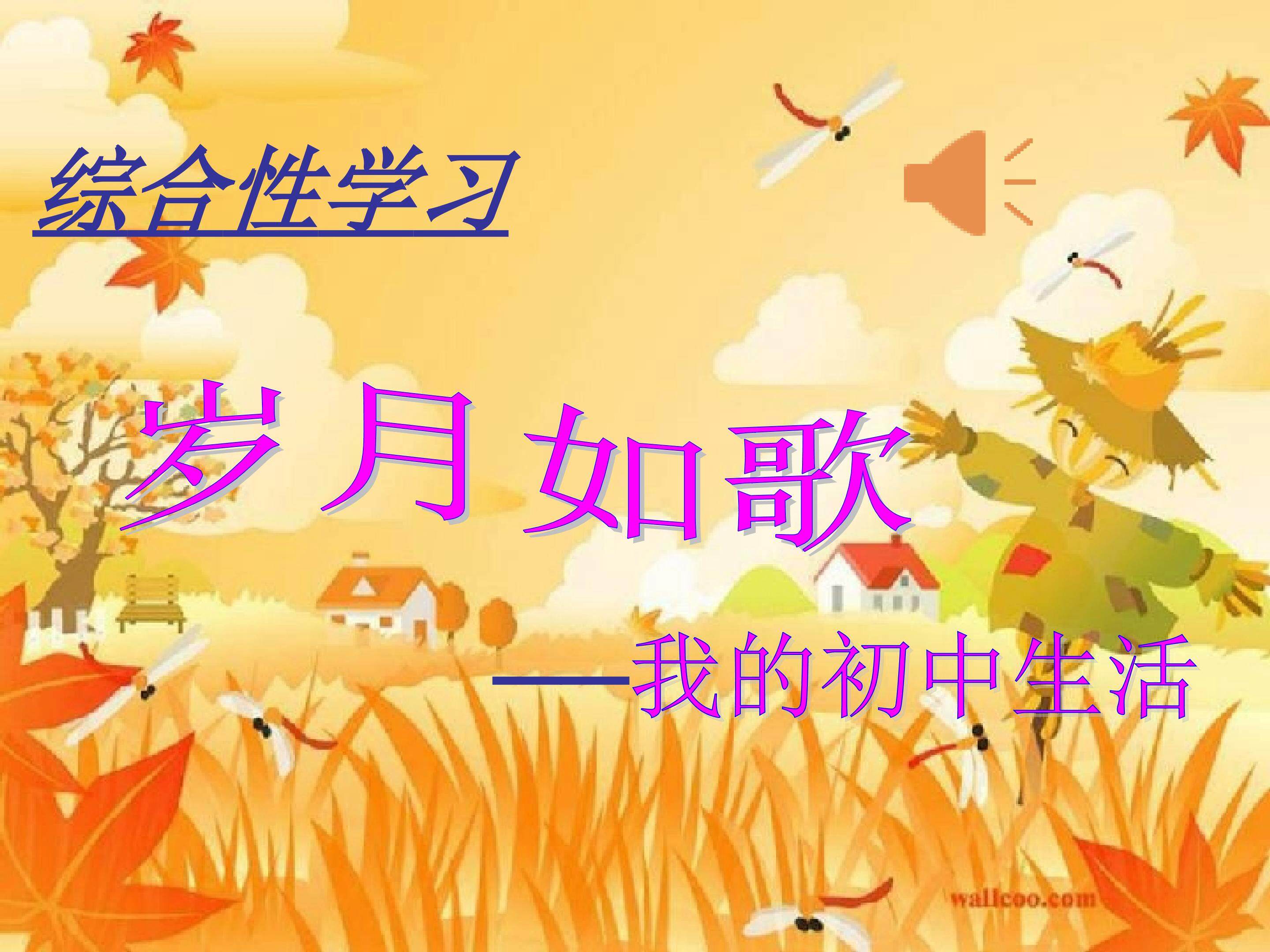 我的初中生活课件