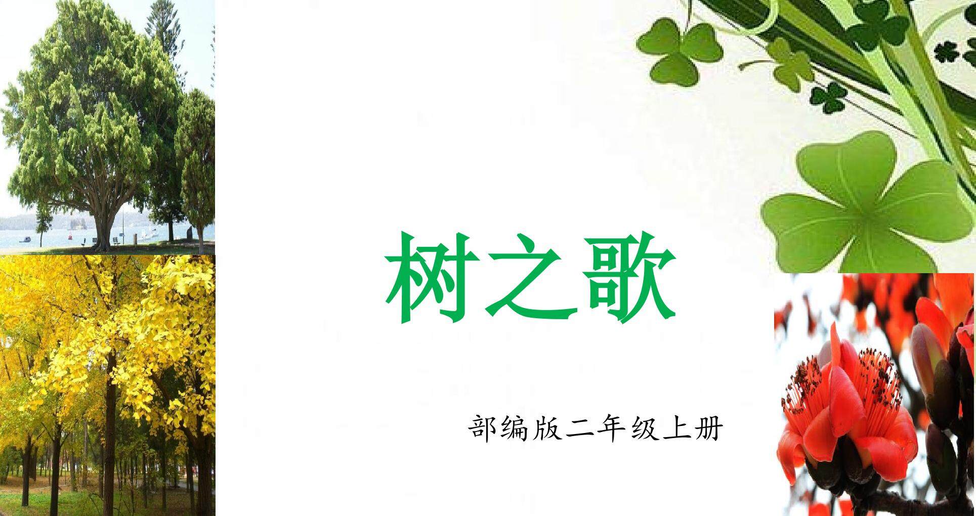 识字2树之歌