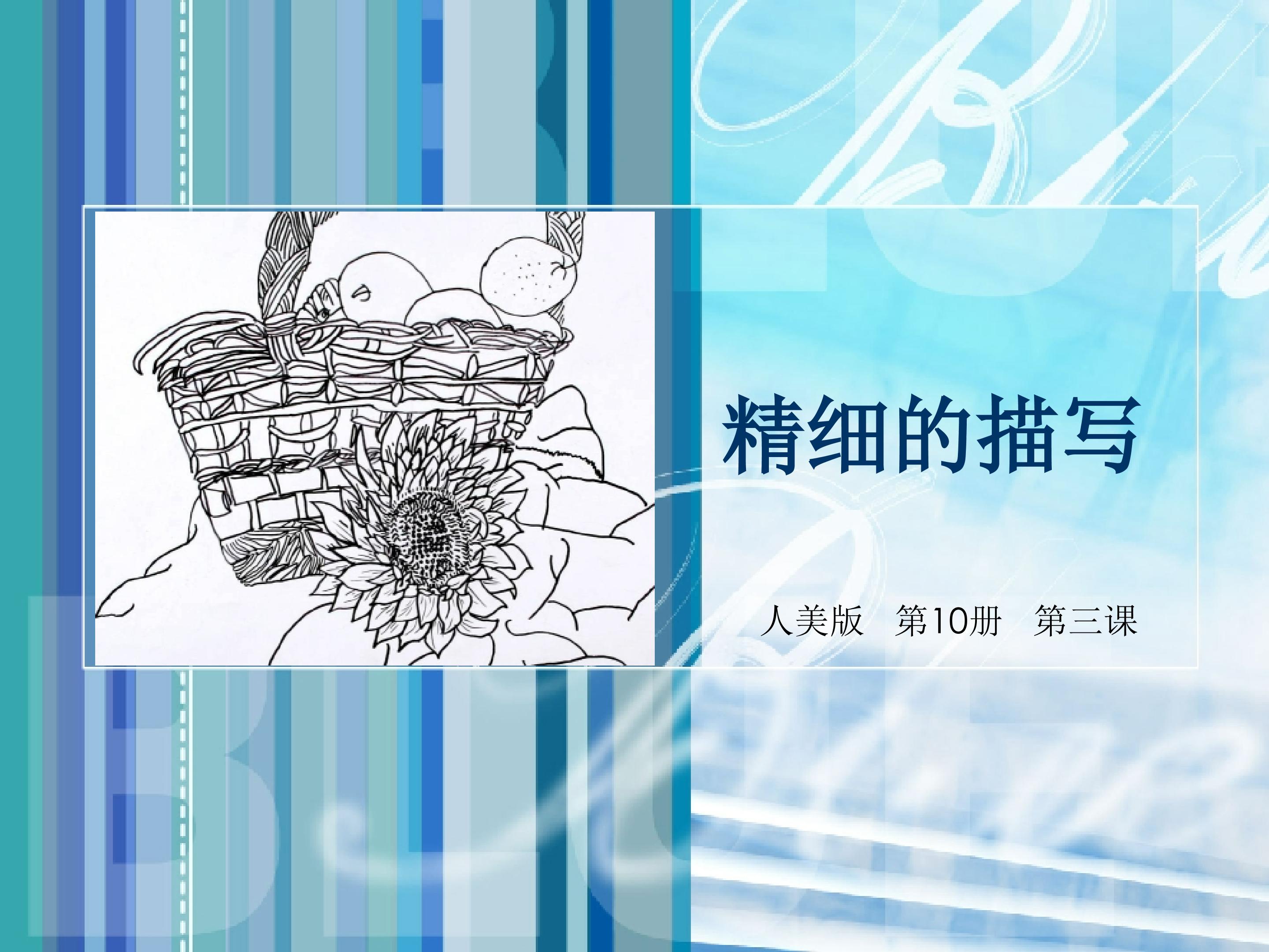 精细的描写