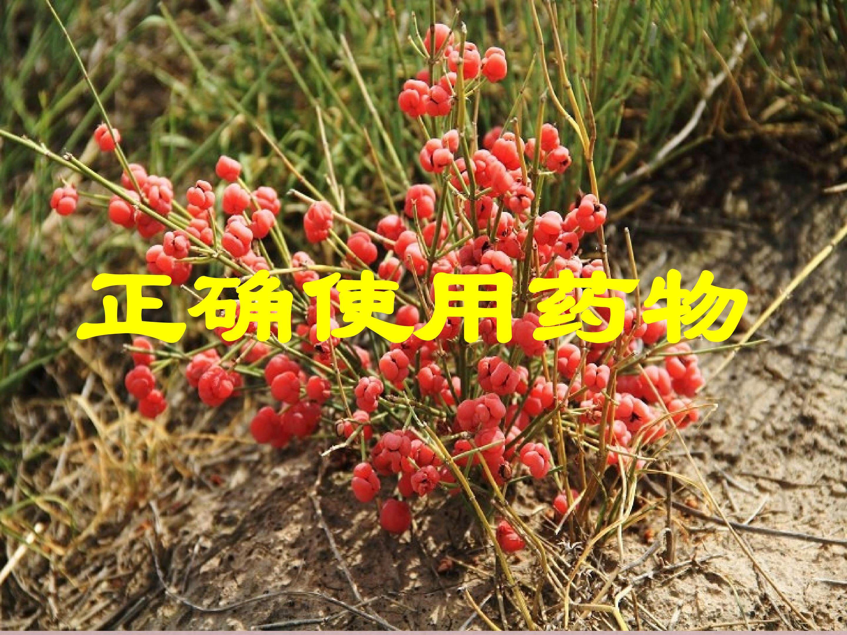 正确使用药物