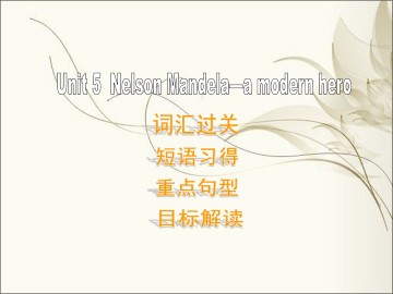 Nelson Mandela - a modern hero_课件48