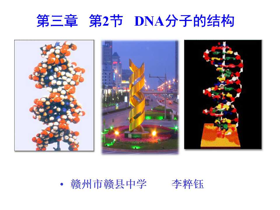 必修二 第3章第2节 DNA分子的结构