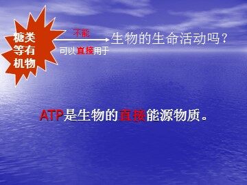 第2节  细胞的能量“通货”——ATP