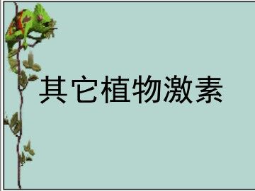 生物高中必修3第三章第三节课件2