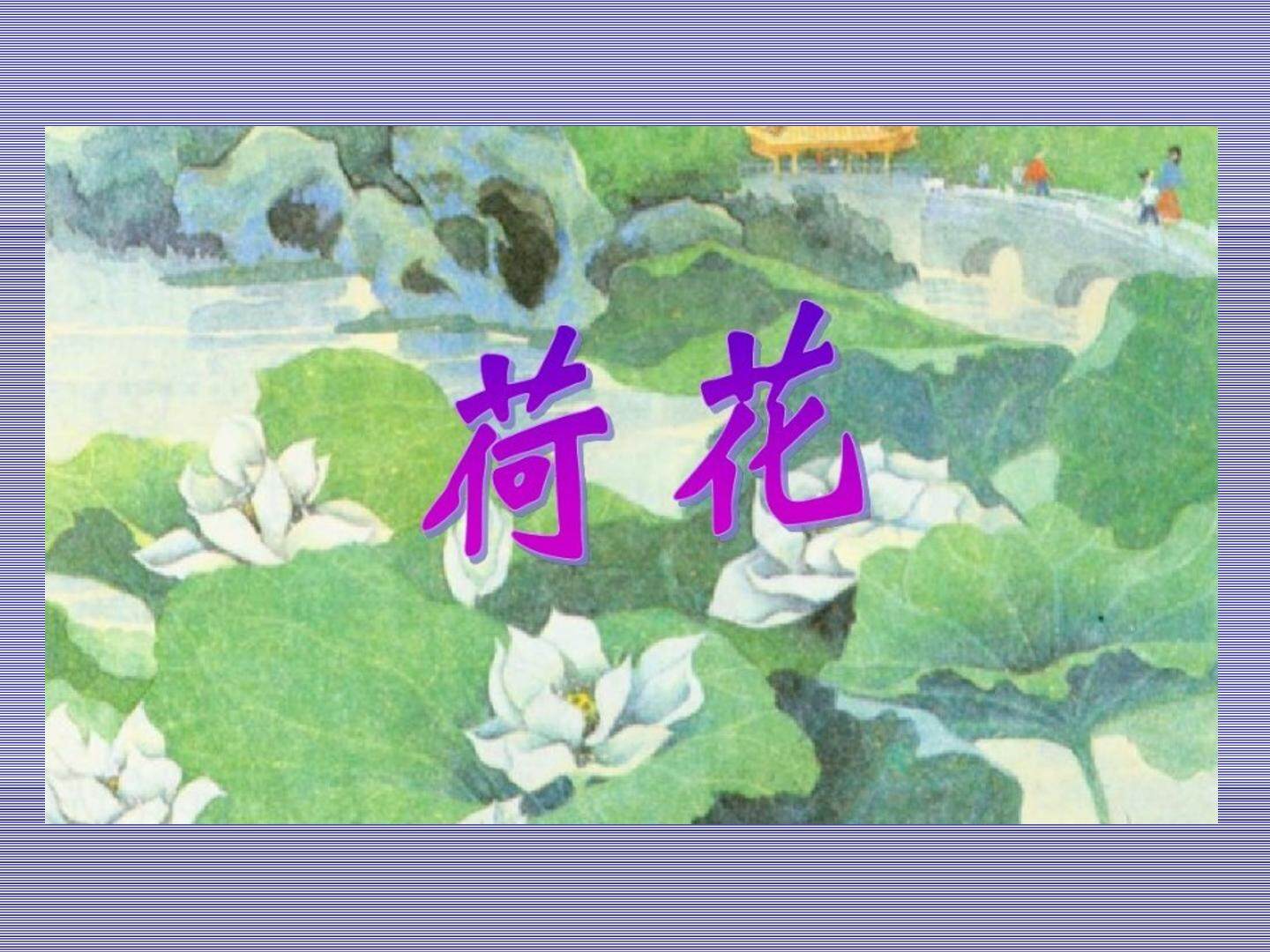 荷花