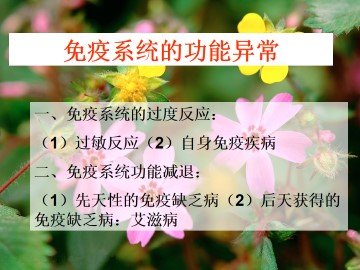 免疫系统的功能异常_课件1