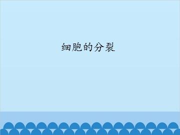 细胞的分裂_课件1