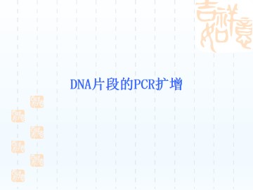 DNA片段的PCR扩增_课件1