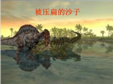 被压扁的沙子_课件6