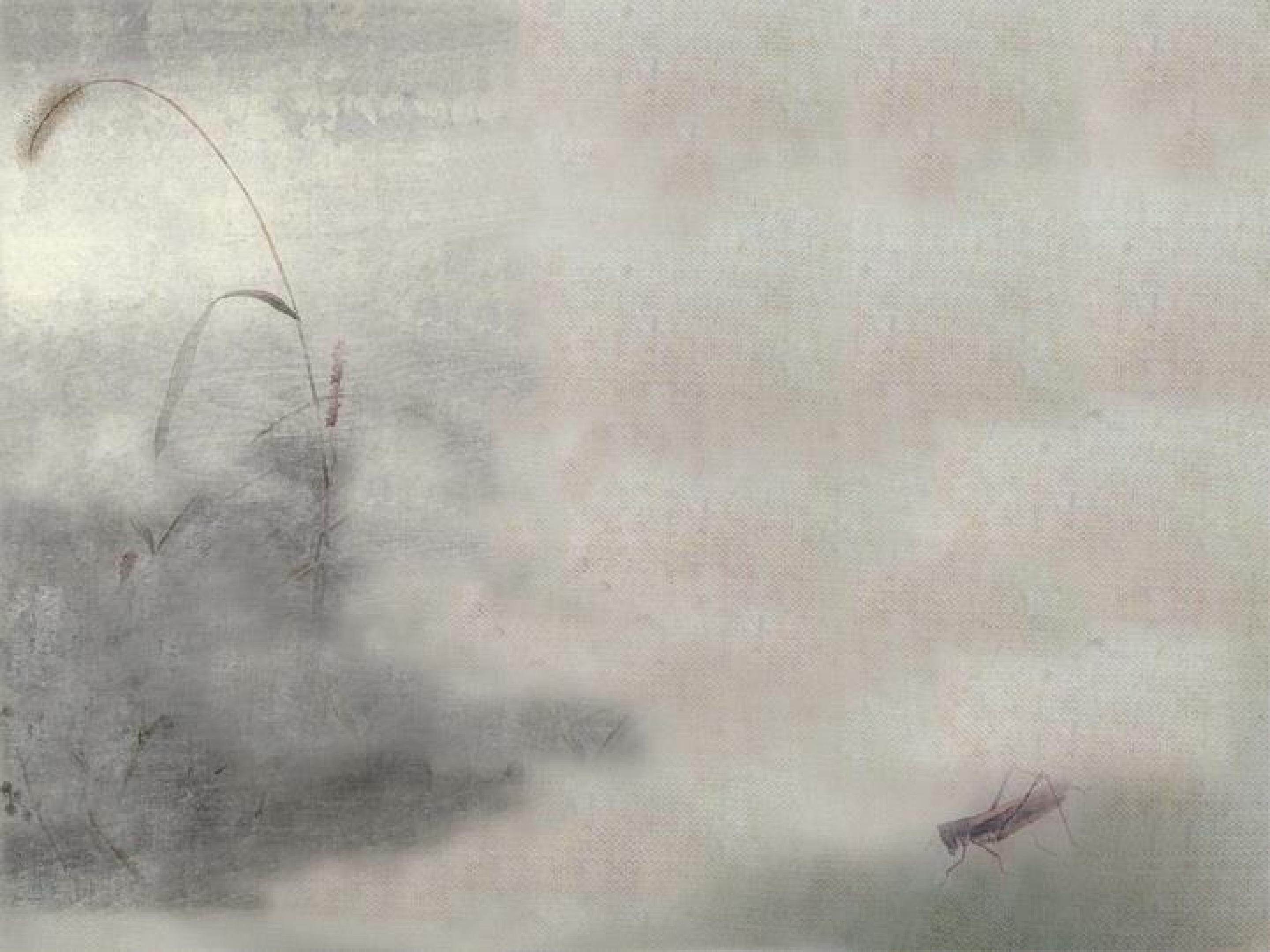 轻描重彩总相宜——草间偷活
