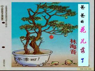 爸爸的花儿落了_课件32