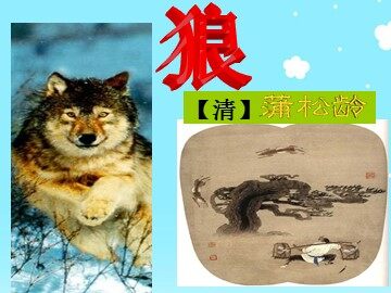 30 狼