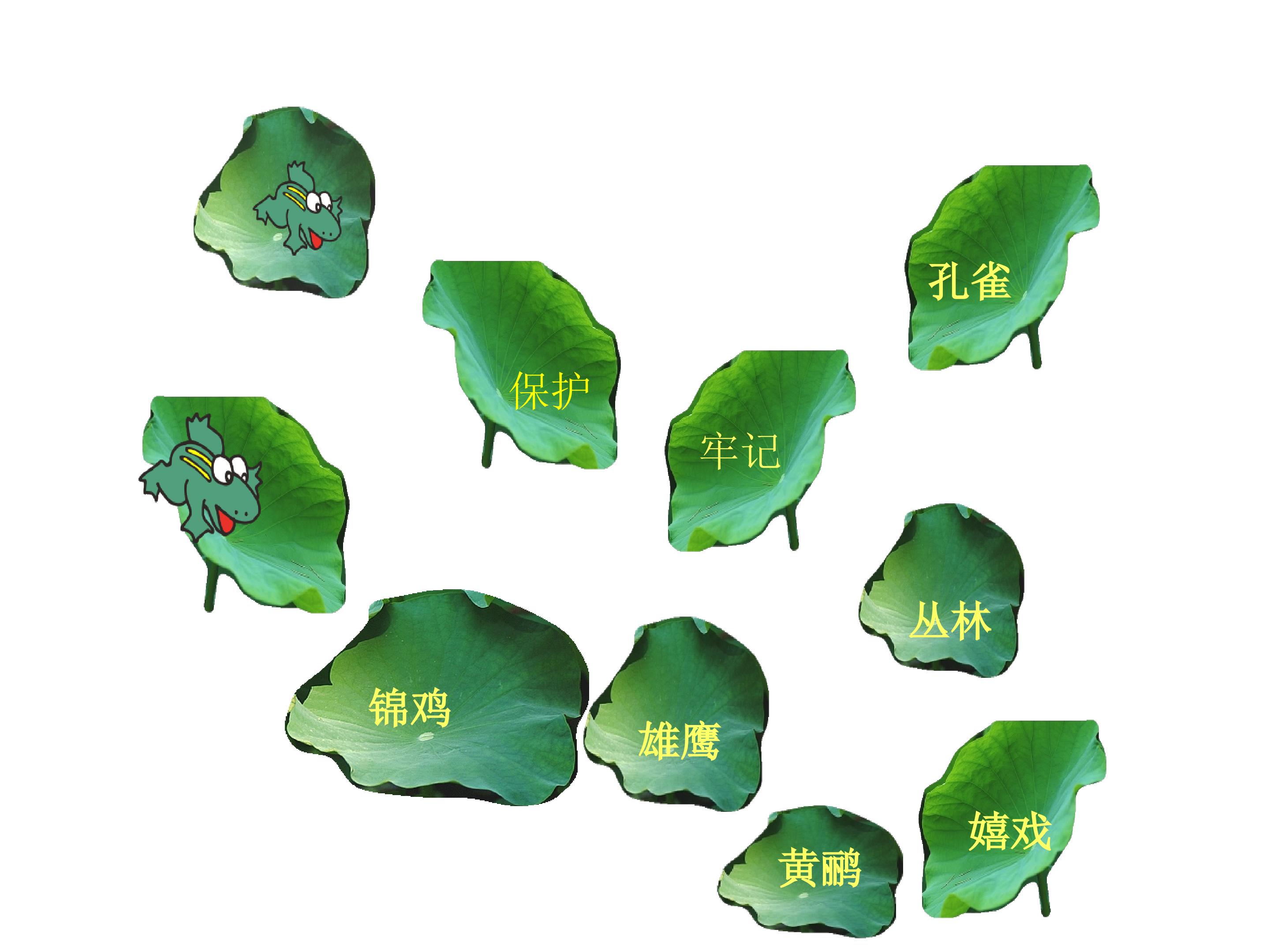16.jpg