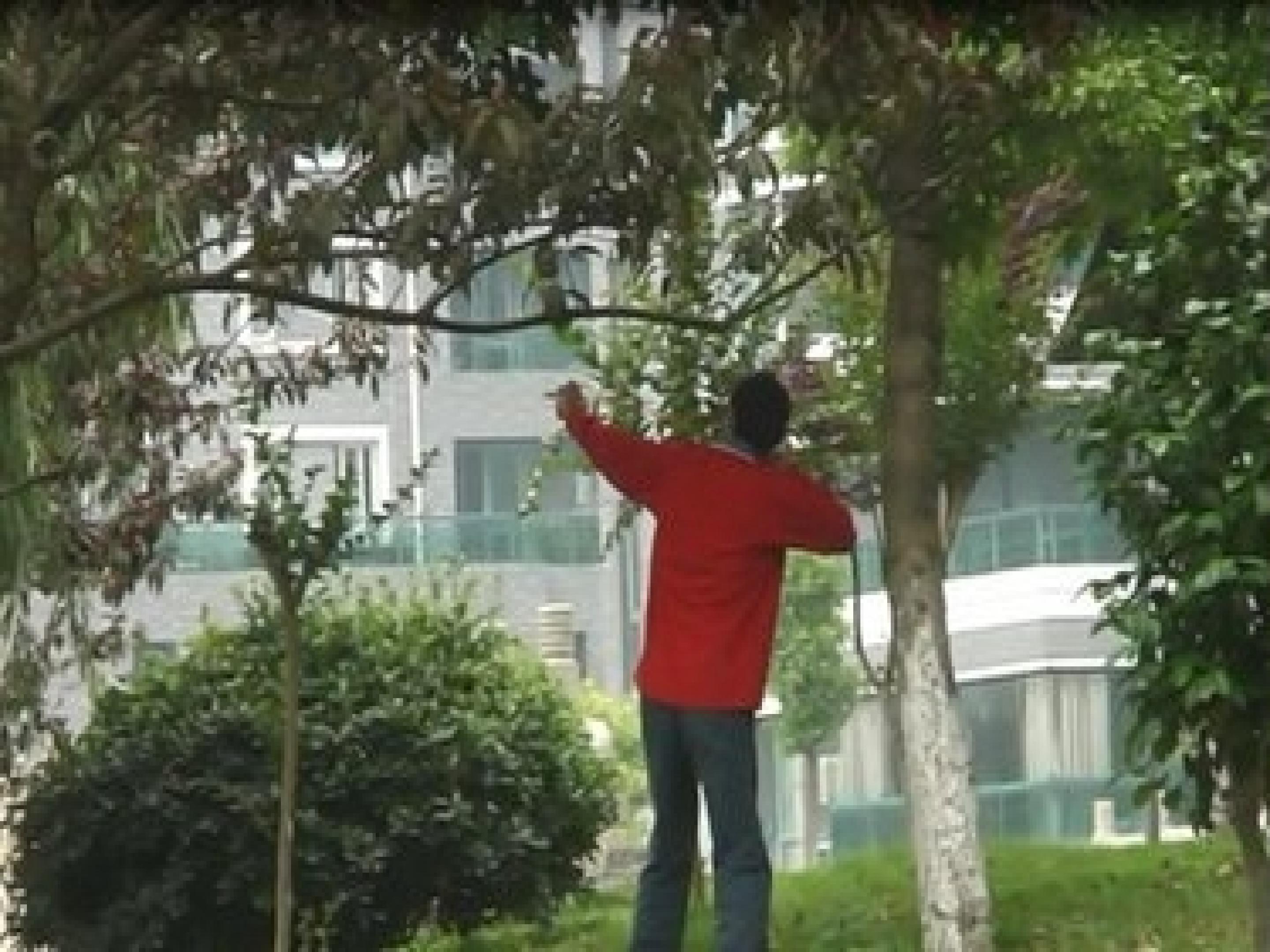 24.jpg