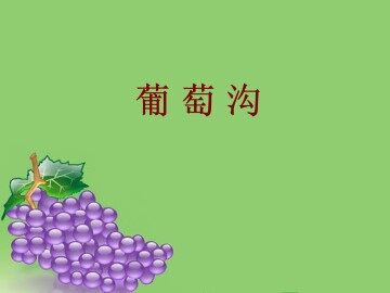 葡萄沟_课件4