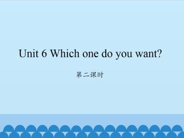Unit 6 Which one do you want?-第二课时_课件1