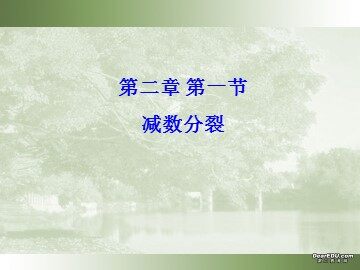 一  减数分裂