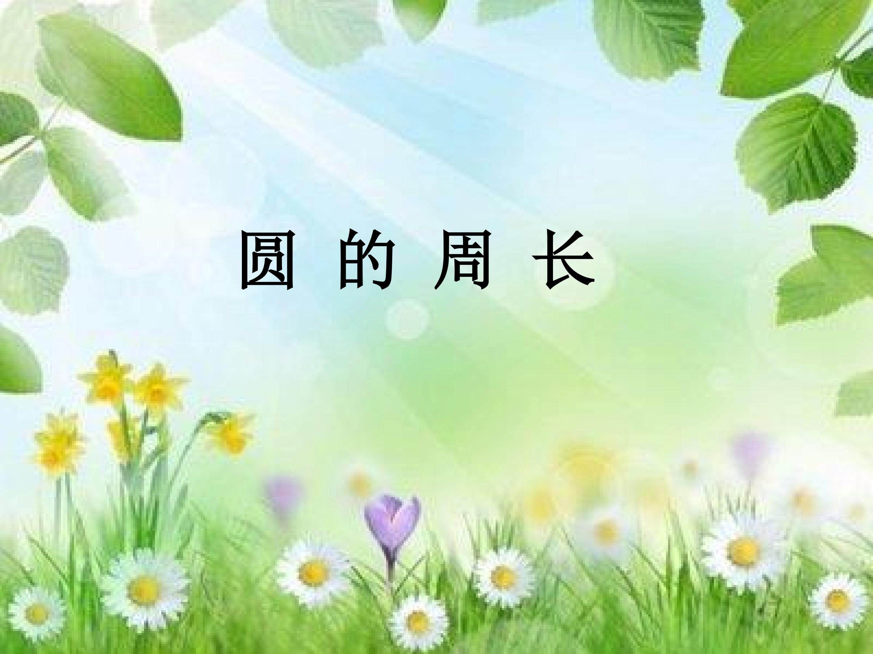 《圆的周长》
