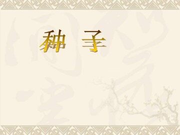 种子_课件1