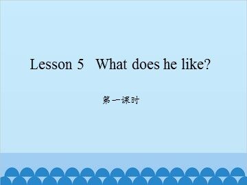 Lesson 5   What does he like?-第一课时_课件1
