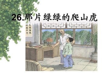 26 那片绿绿的爬山虎