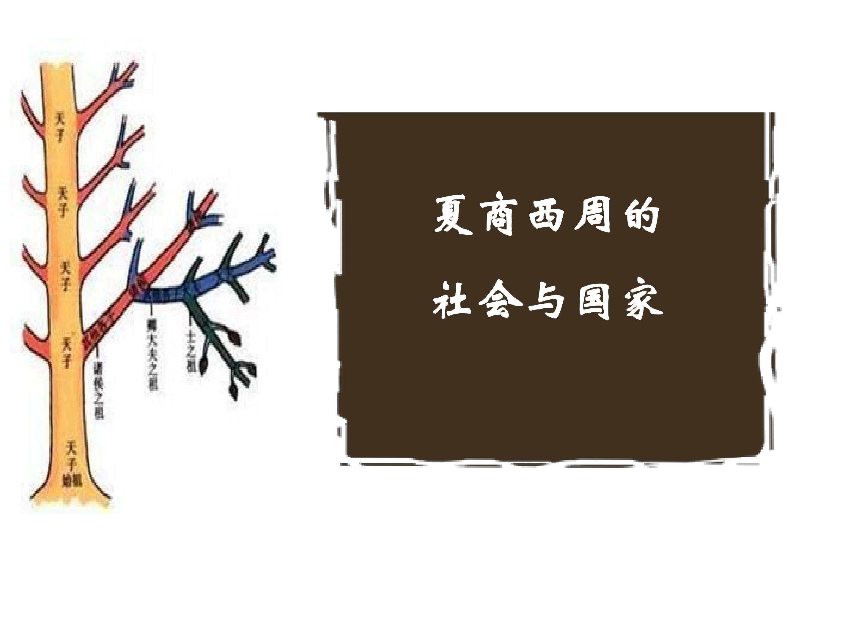夏商西周的社会与国家_课件1