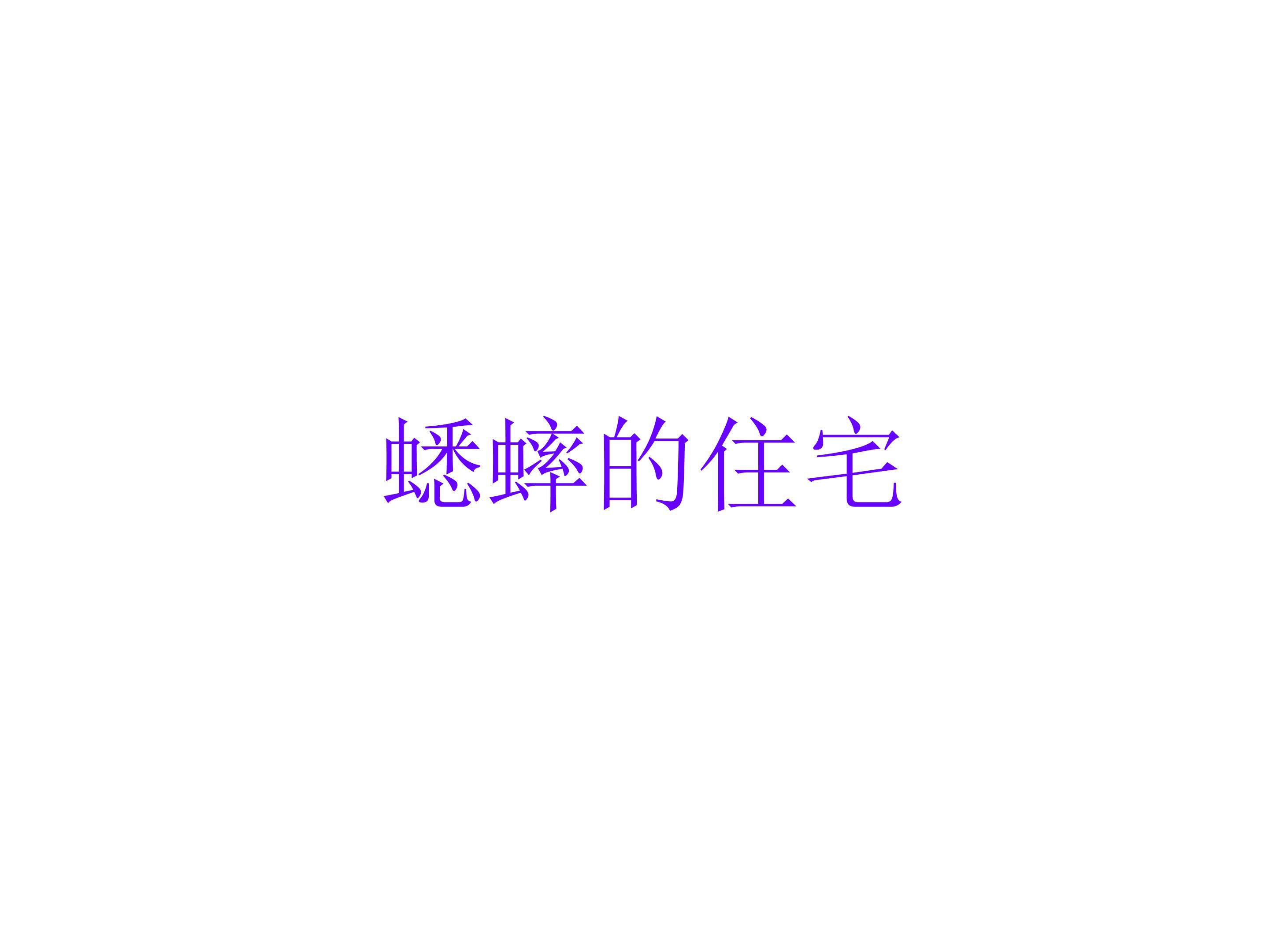 蟋蟀的住宅_课件7