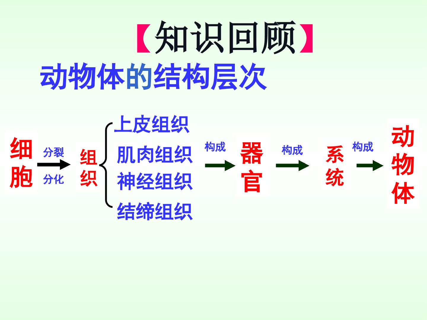 植物体的结构层次