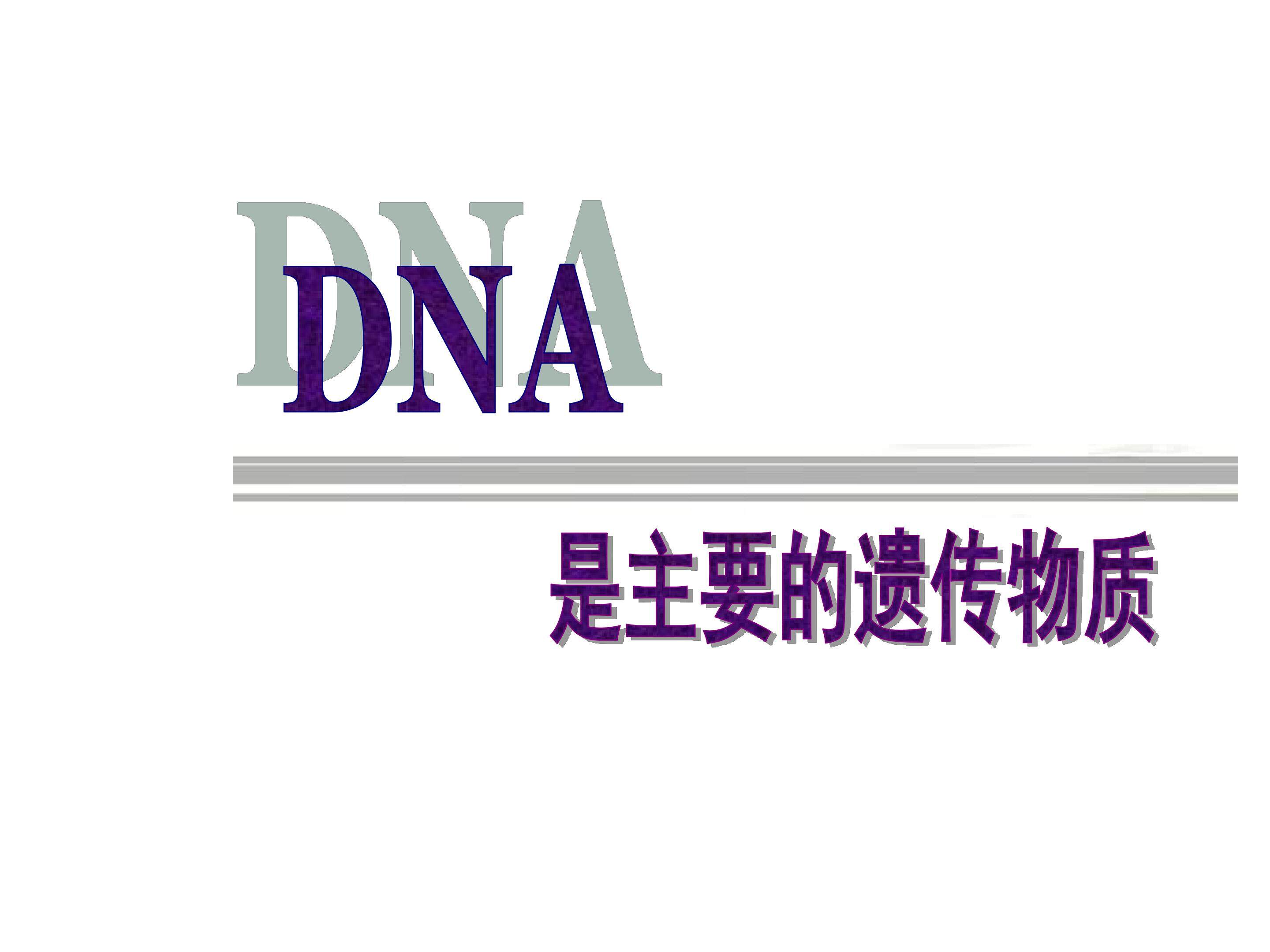 DNA是主要的遗传物质_课件1