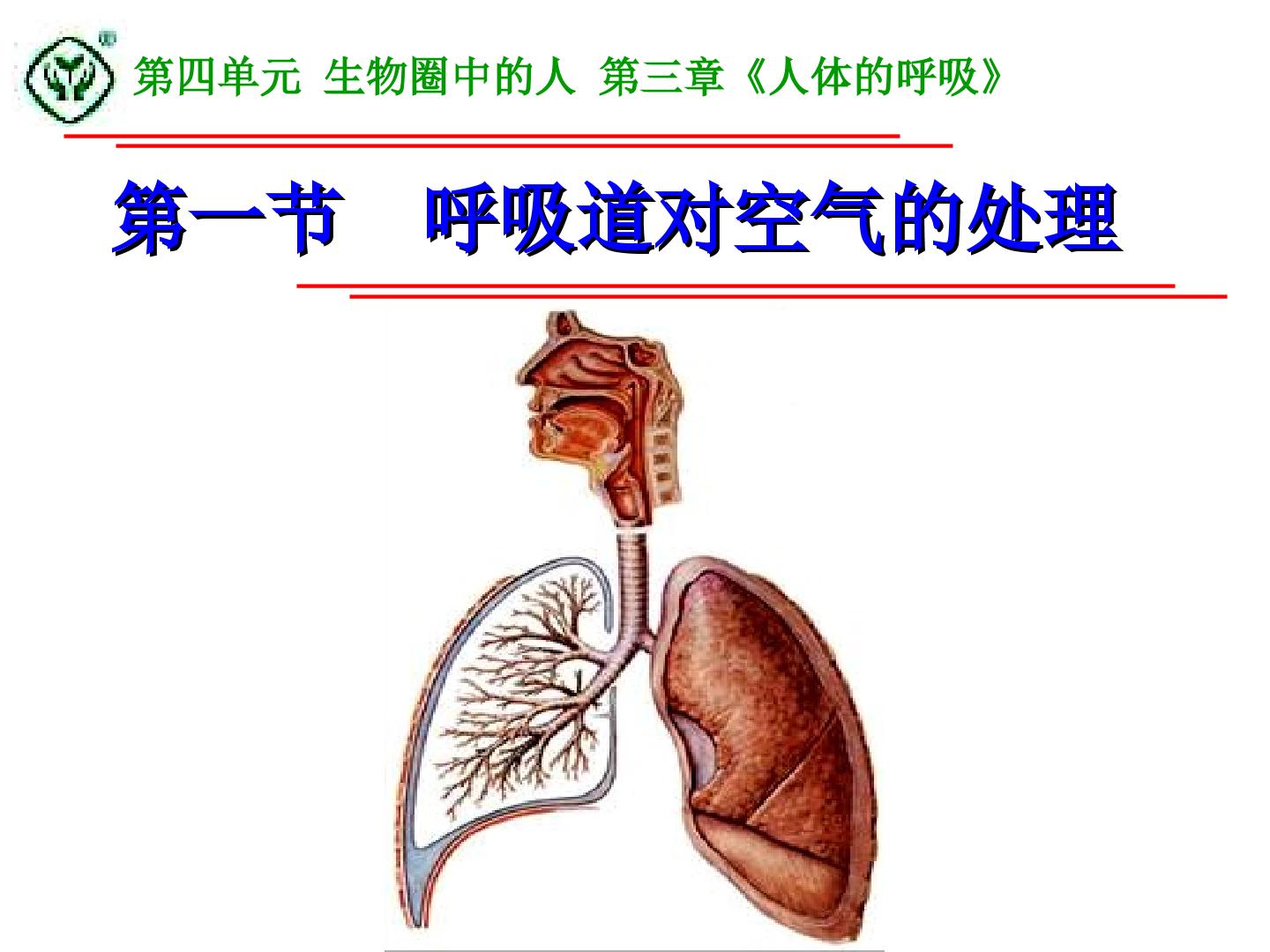 呼吸道对空气的处理