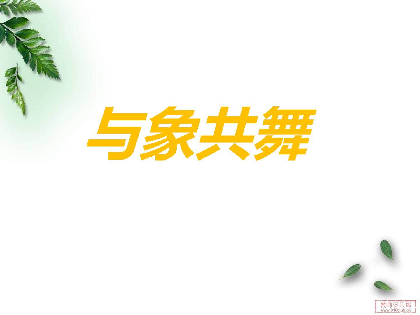 与象共舞